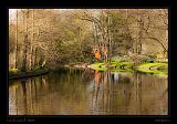 Keukenhof Hollandia 080